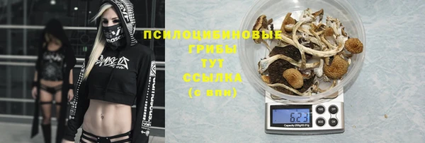 скорость Баксан