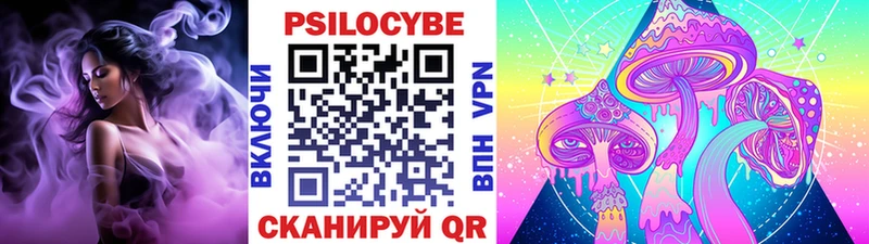 даркнет как зайти  наркошоп  Кодинск  Псилоцибиновые грибы мухоморы 